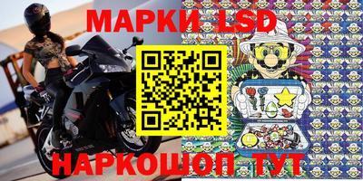 a pvp Камышлов