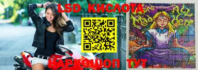 a pvp Камышлов