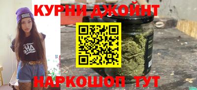 a pvp Камышлов