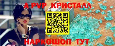a pvp Камышлов