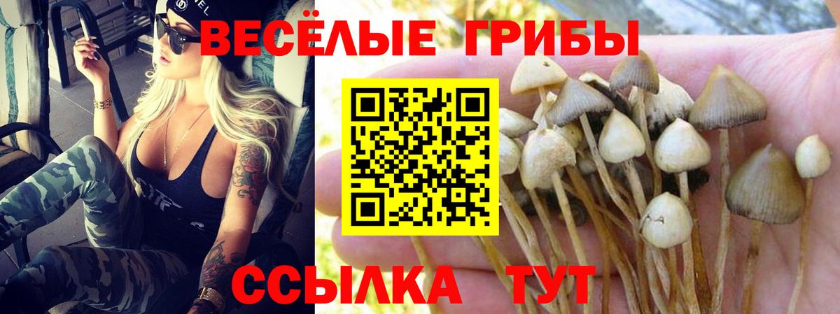 Галлюциногенные грибы Psilocybine cubensis  Вход с VPN  Кызыл 