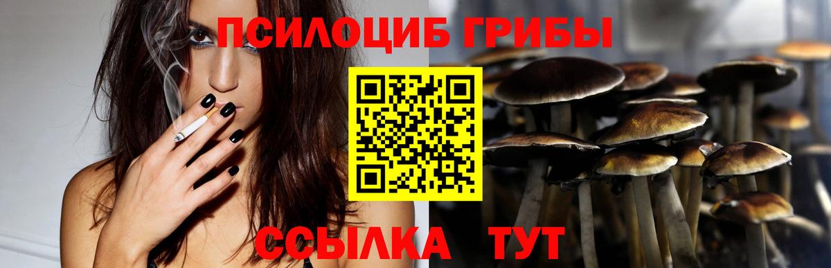 Псилоцибиновые грибы MAGIC MUSHROOMS Кызыл